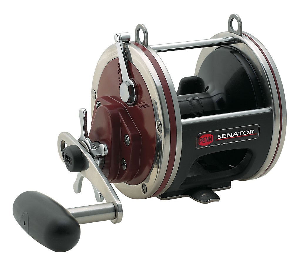 The Penn Special Senator Conventional Reel Wide 3.3:1 P113H2LW by Penn features a black handle, red and silver frame, visible crank and spool, “SENATOR” branding on the side, and is designed for saltwater fishing.