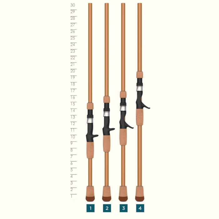 Four St. Croix Legend Glass 7'2" Medium Casting Rods (LGC72MM) stand upright, numbered 1 to 4. A vertical ruler on the left shows heights from 3 to 30 inches. Each rod features an S-glass blank, cork handle, and black reel seat.