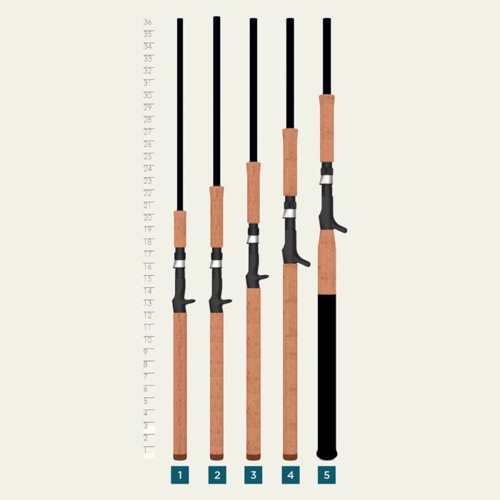Illustration of five fishing rods, including a St. Croix Premier Musky 9'0" Extra Heavy Casting Rod (PM90XHF) by St. Croix, numbered 1 to 5 and upright beside a vertical measuring scale from 10 to 36 in.; brown handles, black upper sections.