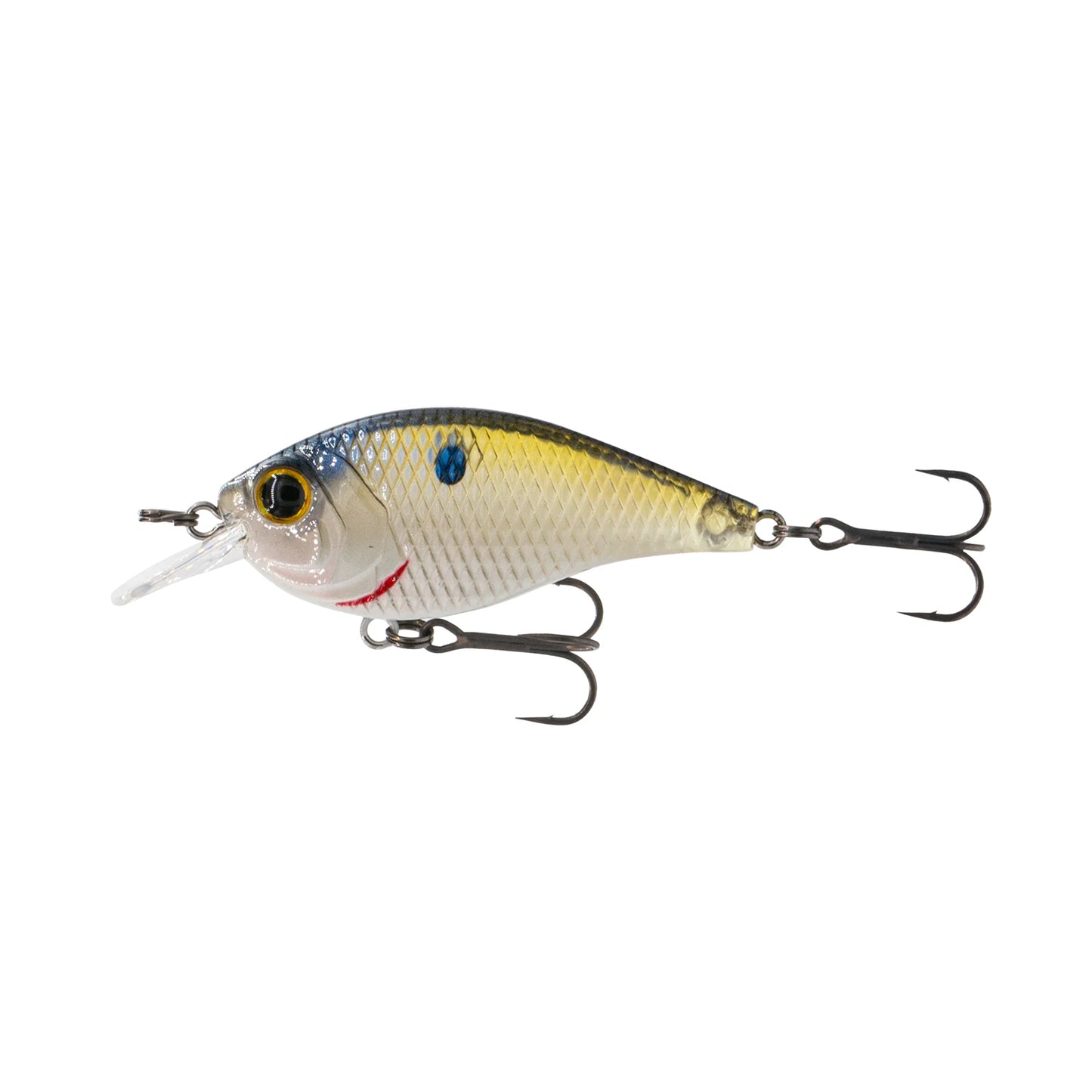 6th Sense Pressure Series Crankbaits PD4