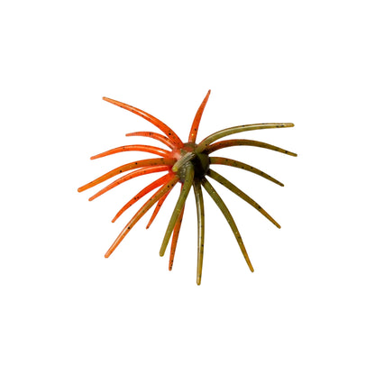 BFT Super Urchin Split Decision 19mm 1pk