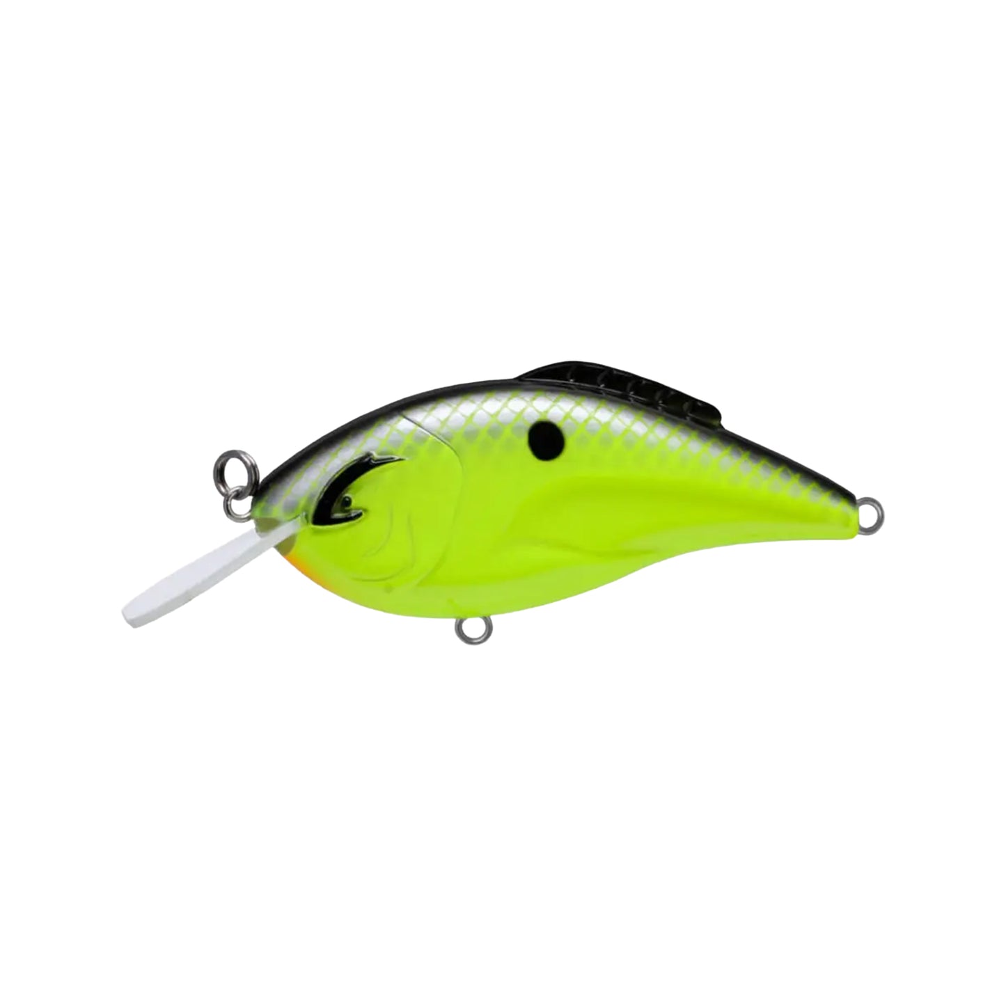 Bill Lewis Hammer Flat Crankbait