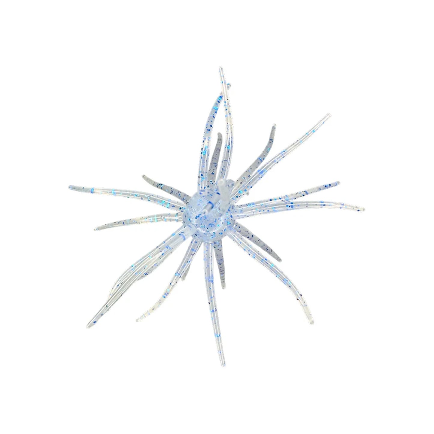 Hag's Prickly Pear 19mm 1pk