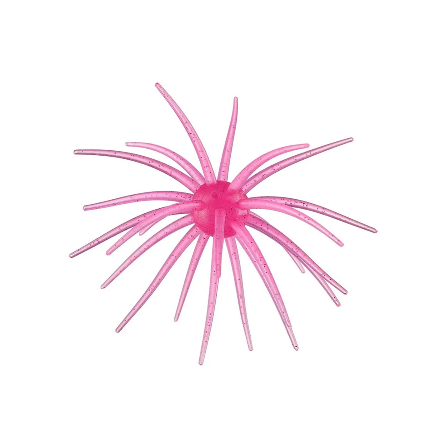 Hag's Prickly Pear 9.9mm 2pk