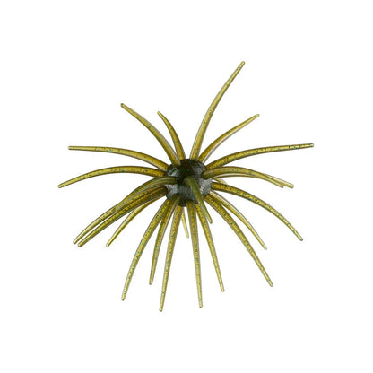Hag's Prickly Pear 19mm 1pk