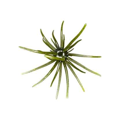 Hag's Prickly Pear 19mm 1pk