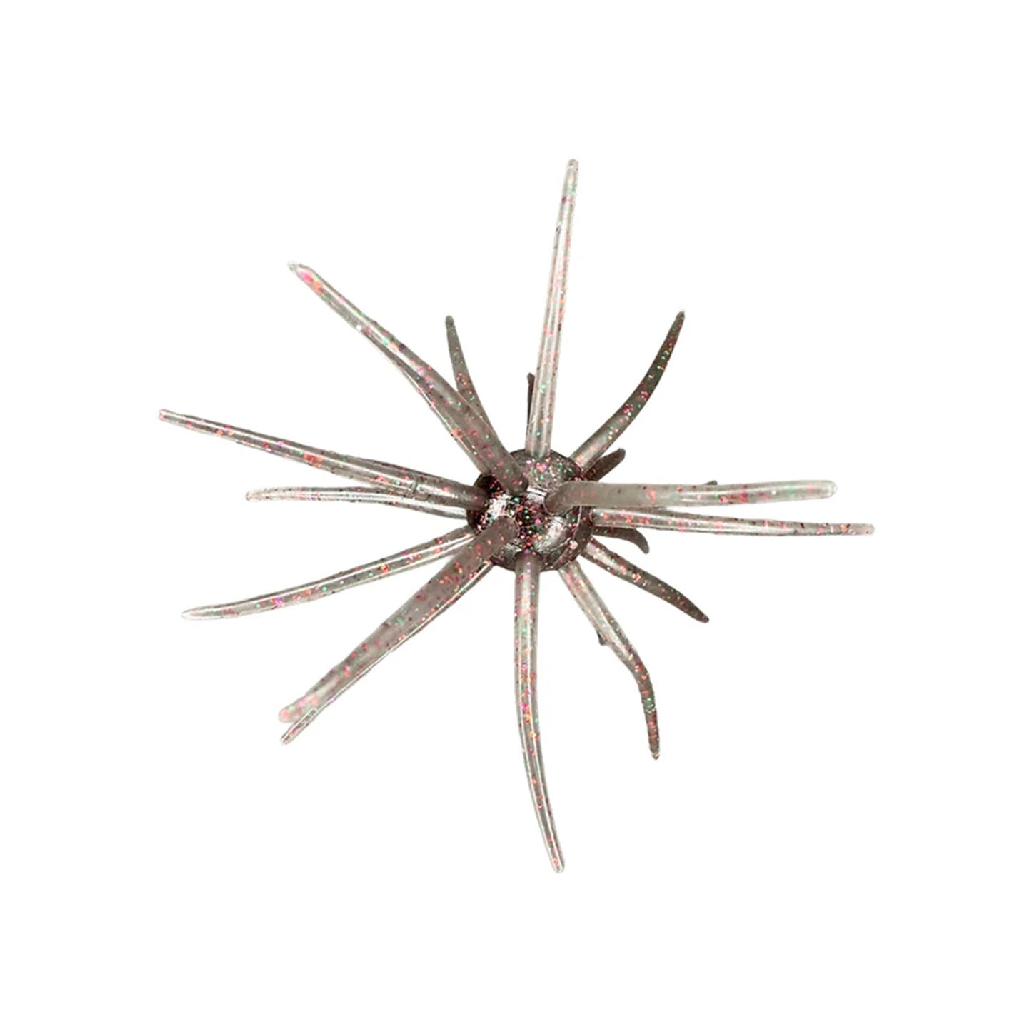 Hag's Prickly Pear 19mm 1pk