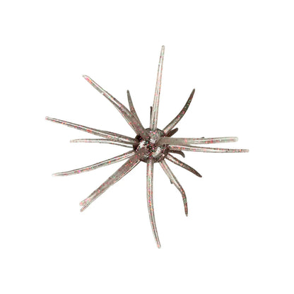 Hag's Prickly Pear 19mm 1pk