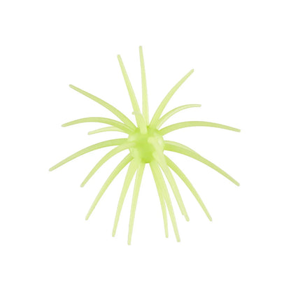 Hag's Prickly Pear 19mm 1pk