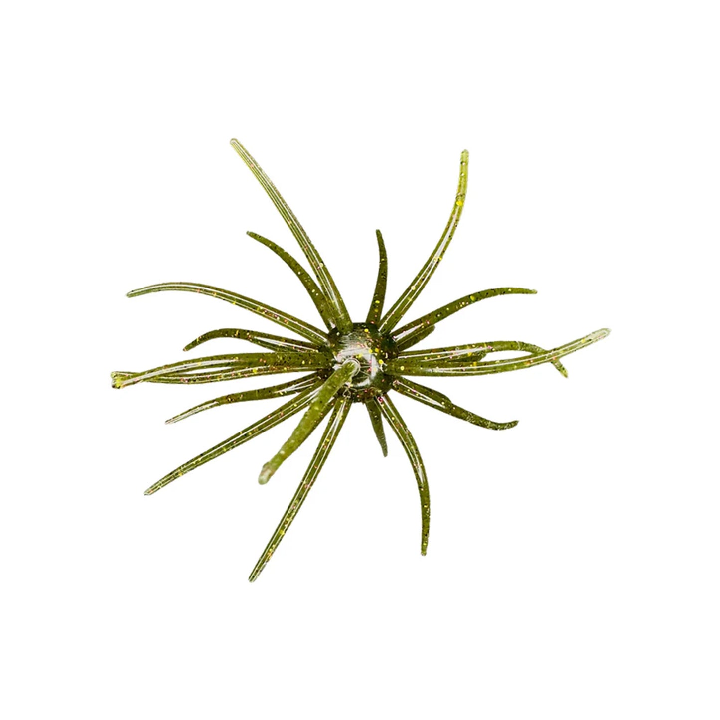 Hag's Prickly Pear 19mm 1pk