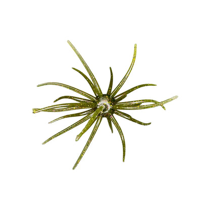 Hag's Prickly Pear 19mm 1pk