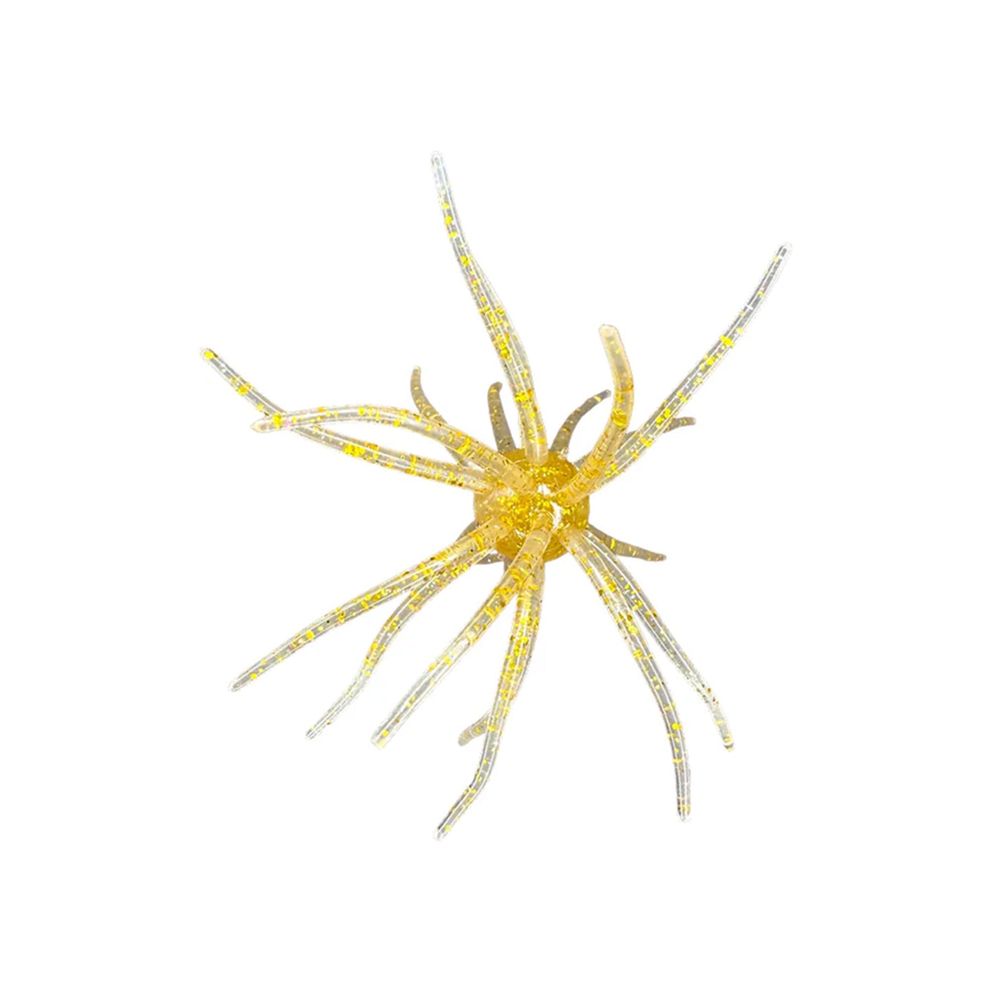 Hag's Prickly Pear 19mm 1pk