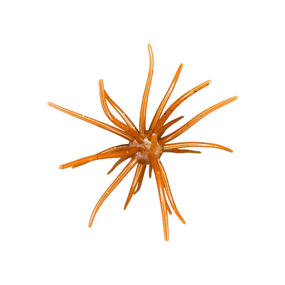 Hag's Prickly Pear 19mm 1pk