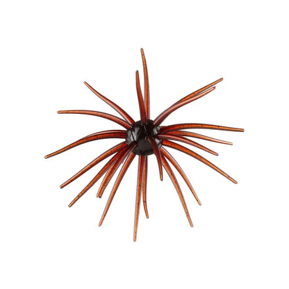 Hag's Prickly Pear 19mm 1pk