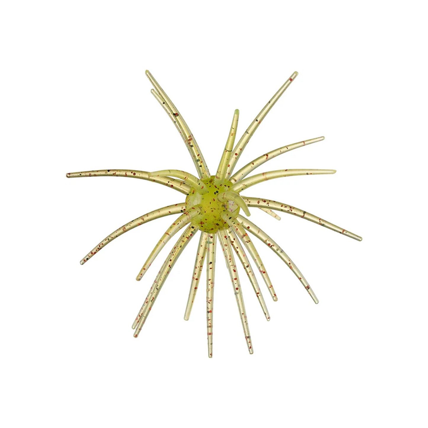 Hag's Prickly Pear 19mm 1pk