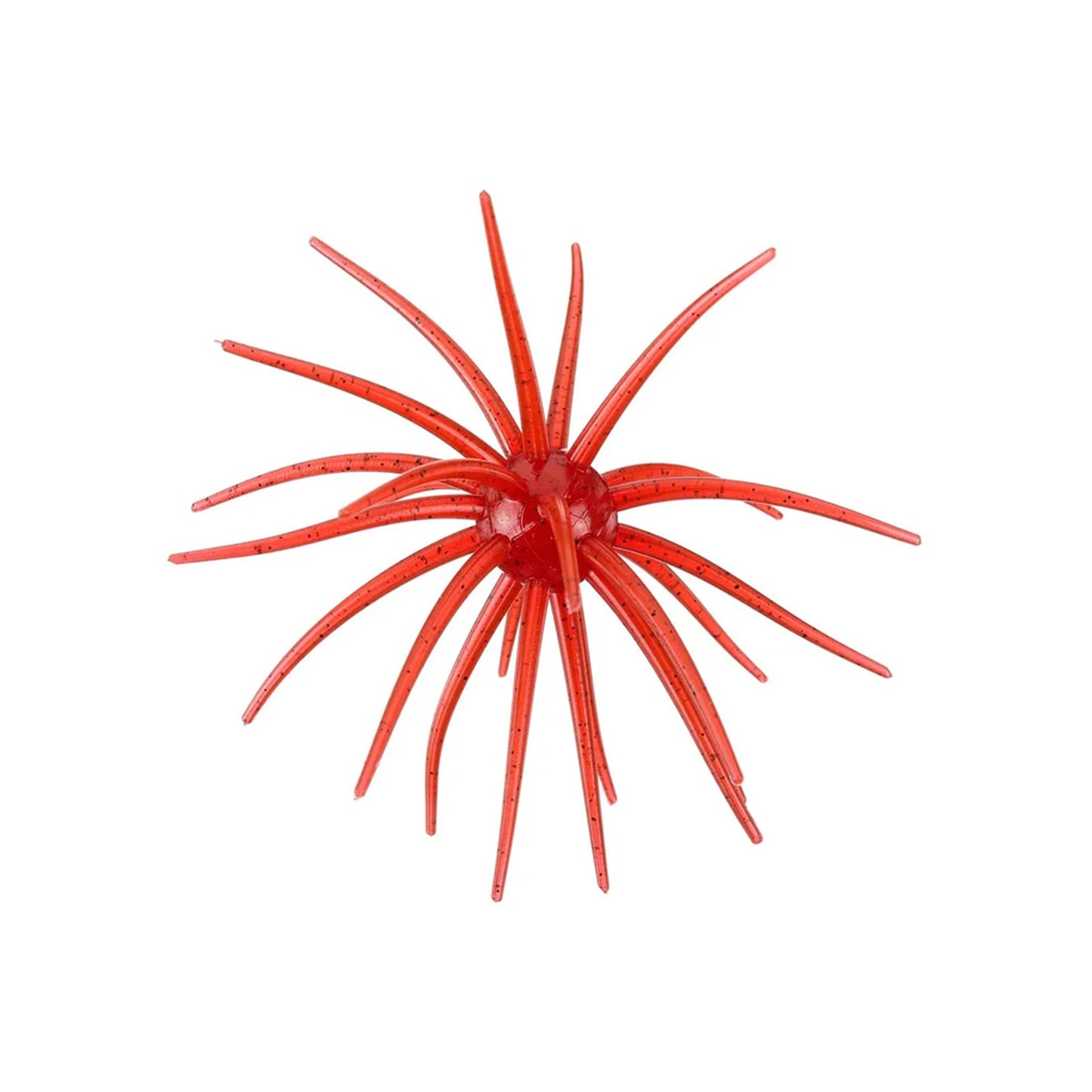 Hag's Prickly Pear 19mm 1pk