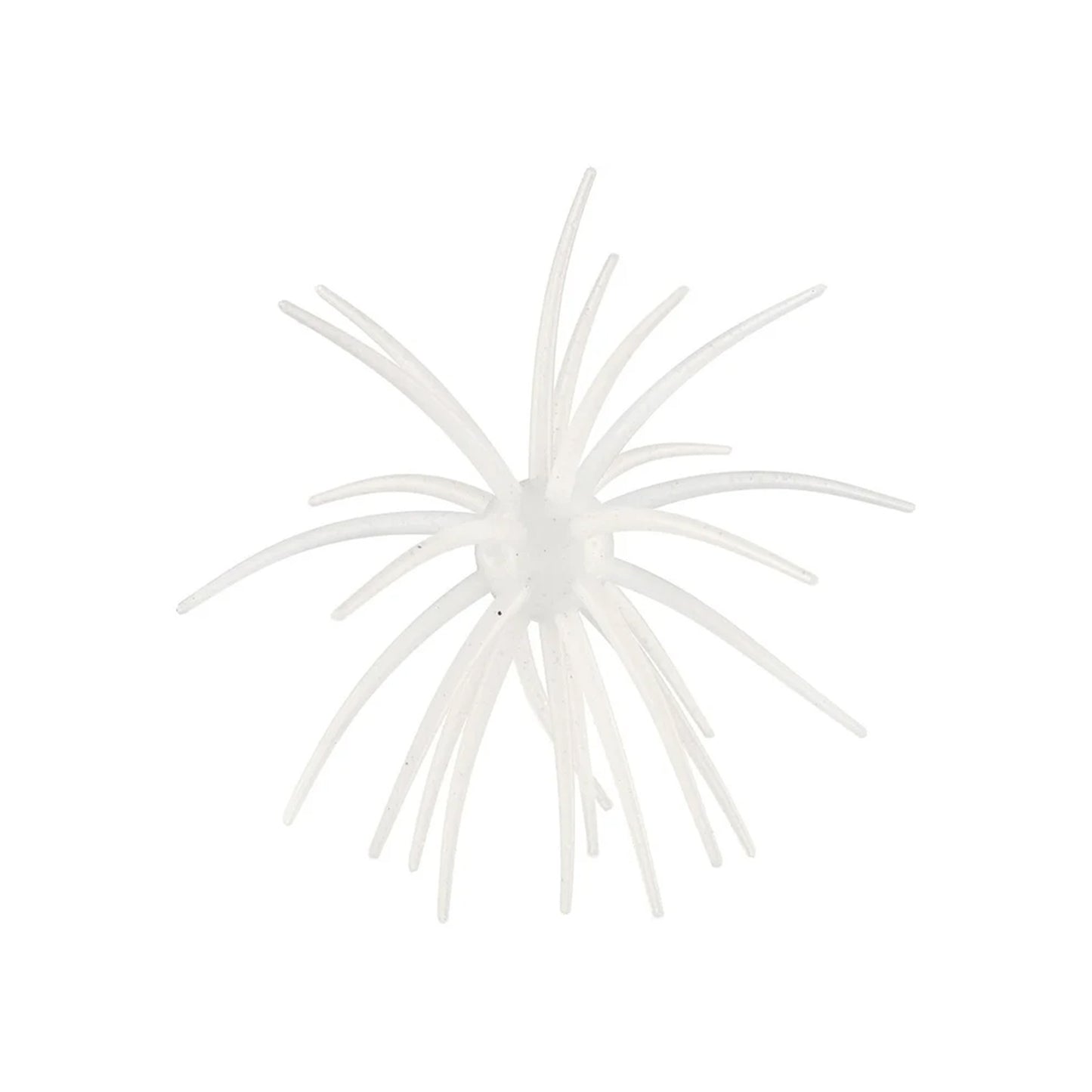 Hag's Prickly Pear 19mm 1pk