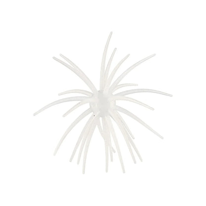Hag's Prickly Pear 19mm 1pk