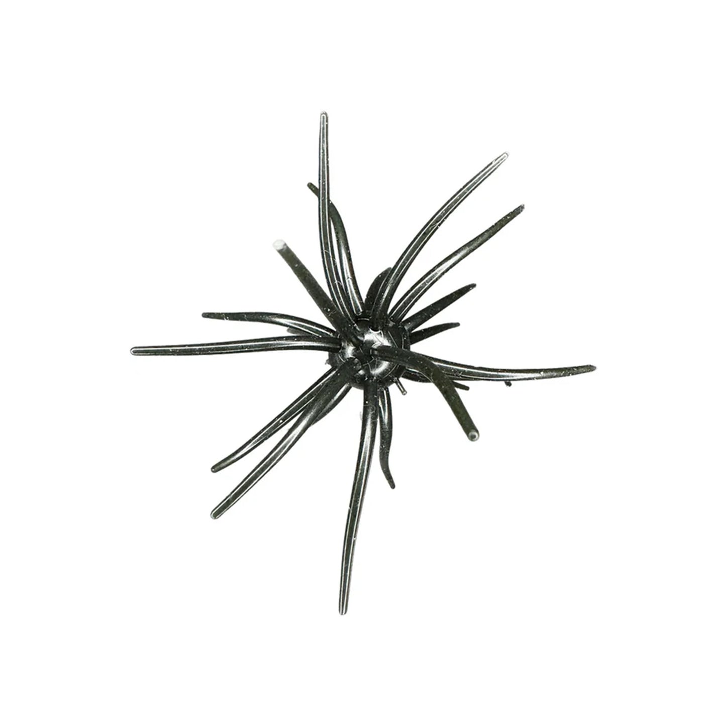 Hag's Prickly Pear 19mm 1pk
