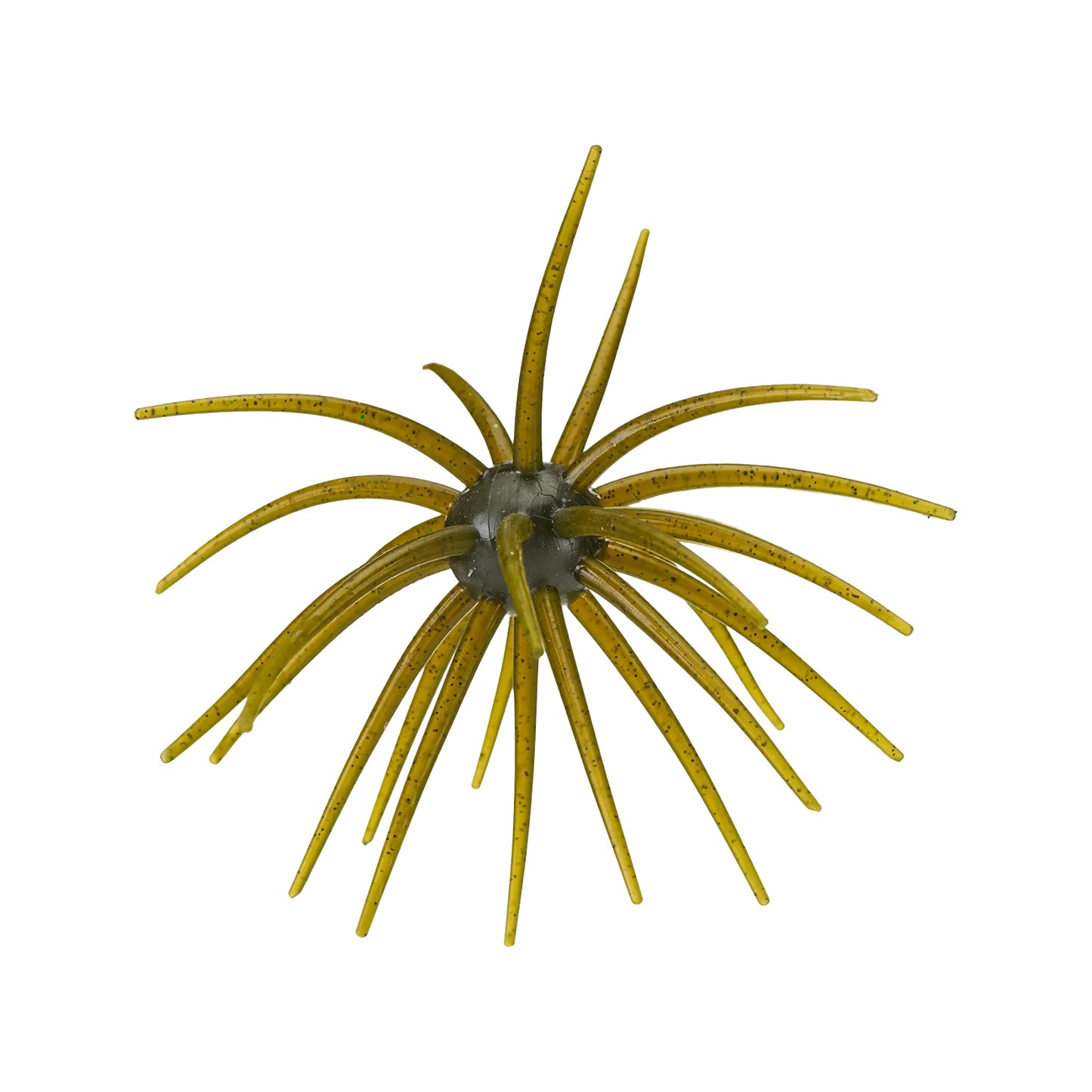 Hag's Pickly Pear Big Tex 25mm 1pk