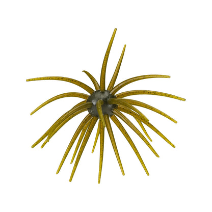 Hag's Pickly Pear Big Tex 25mm 1pk