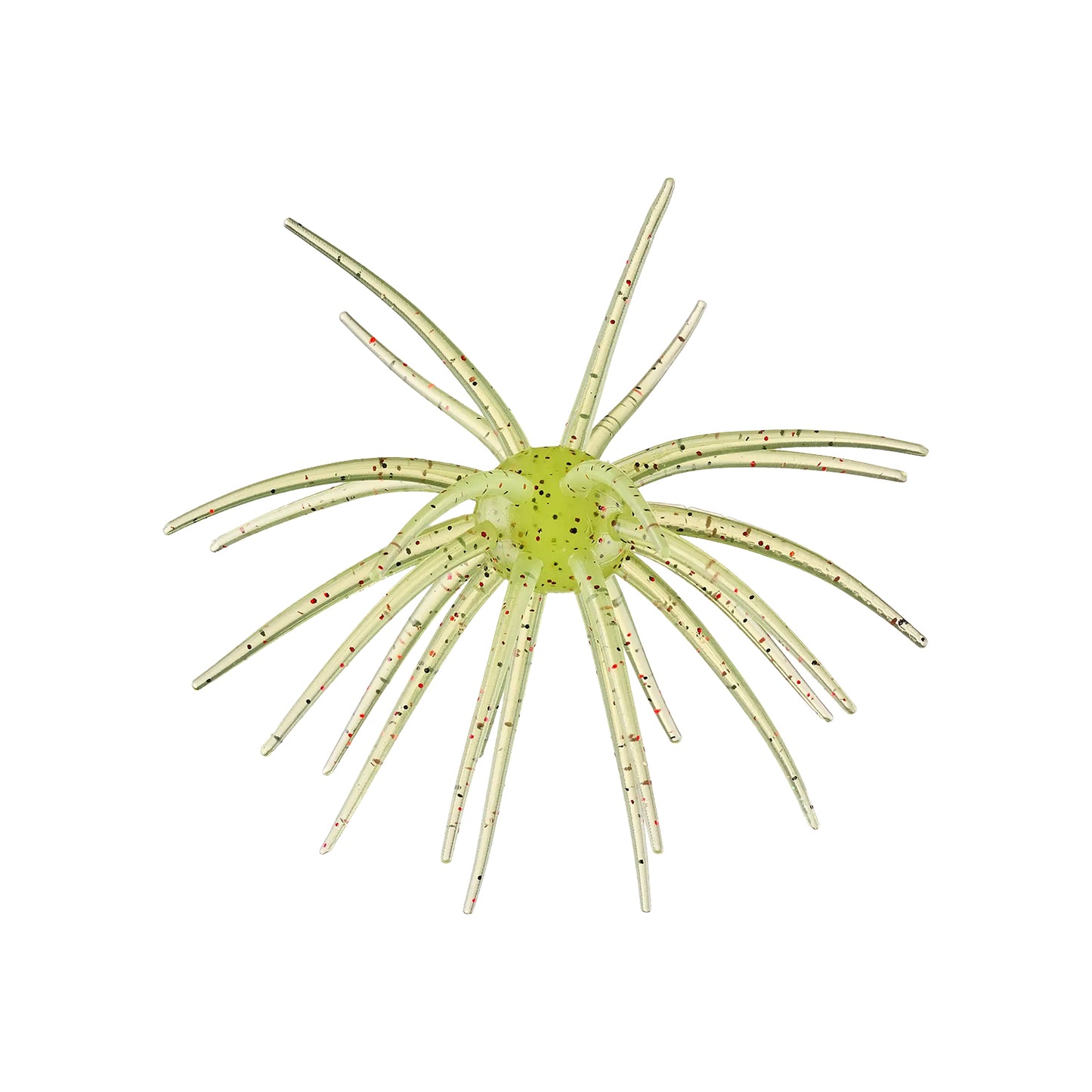 Hag's Pickly Pear Big Tex 25mm 1pk