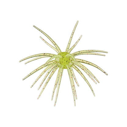 Hag's Pickly Pear Big Tex 25mm 1pk