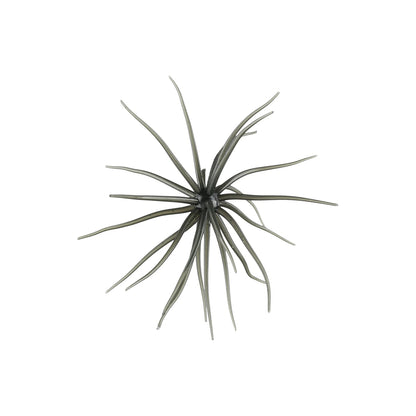 Hag's Prickly Pear 9.9mm 2pk