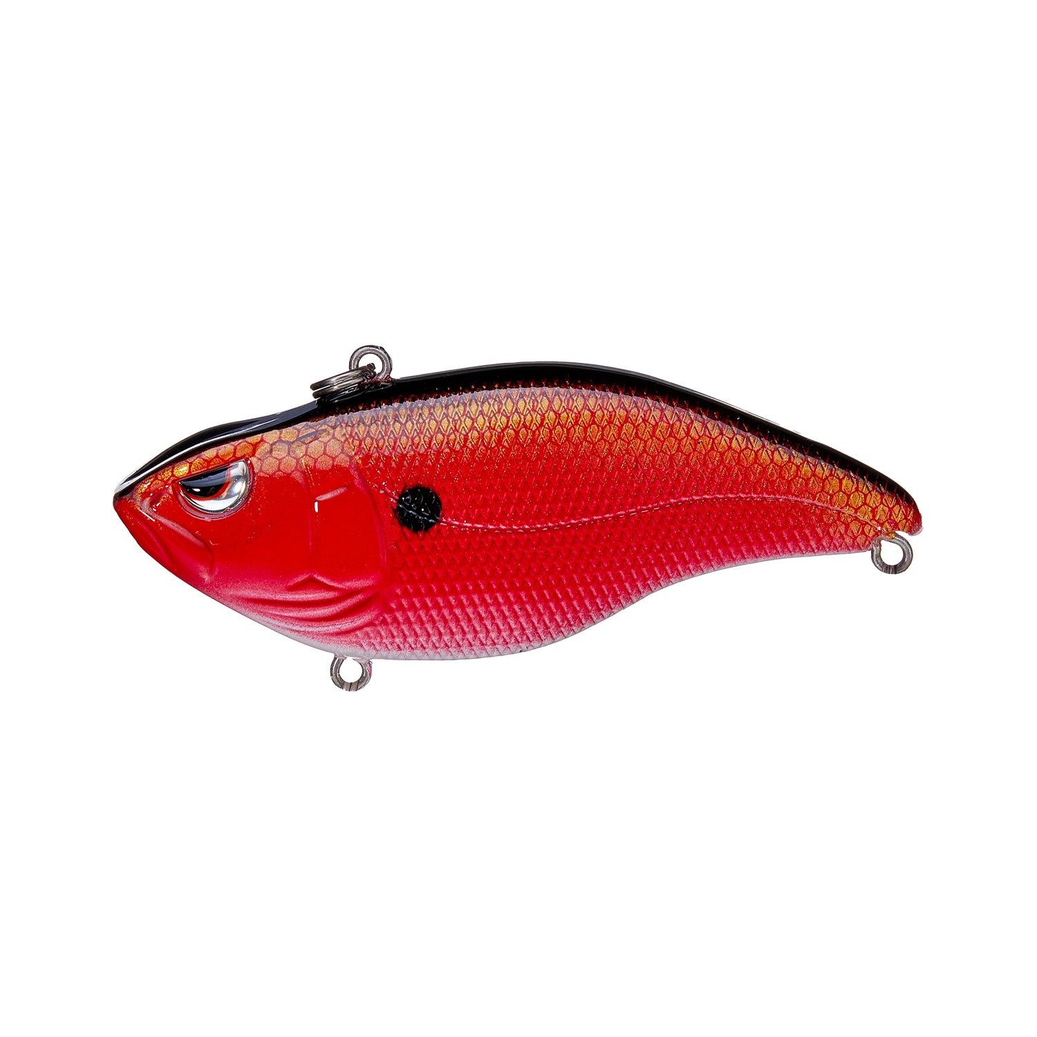 The SPRO Aruku Shad 65 Lipless Crankbait is a red and black lure featuring a detailed scale pattern, lifelike eye, and three metal rings for attachment on its head, belly, and tail.