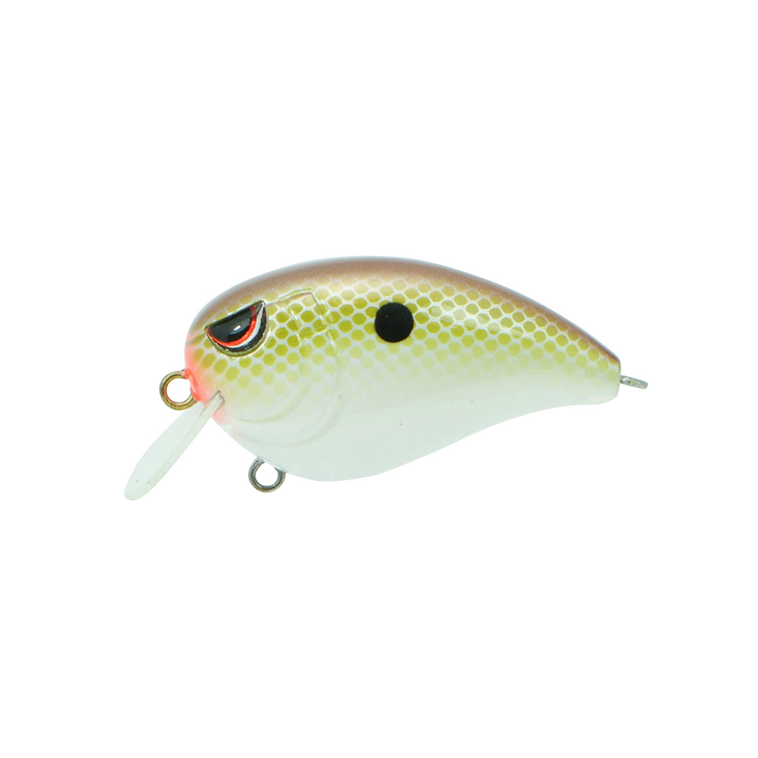 The SPRO Fat John 50 Crankbait resembles a small fish with a pale yellow-green top, white belly, red and black eyes, a side black spot, clear diving lip, and sharp Gamakatsu treble hooks.