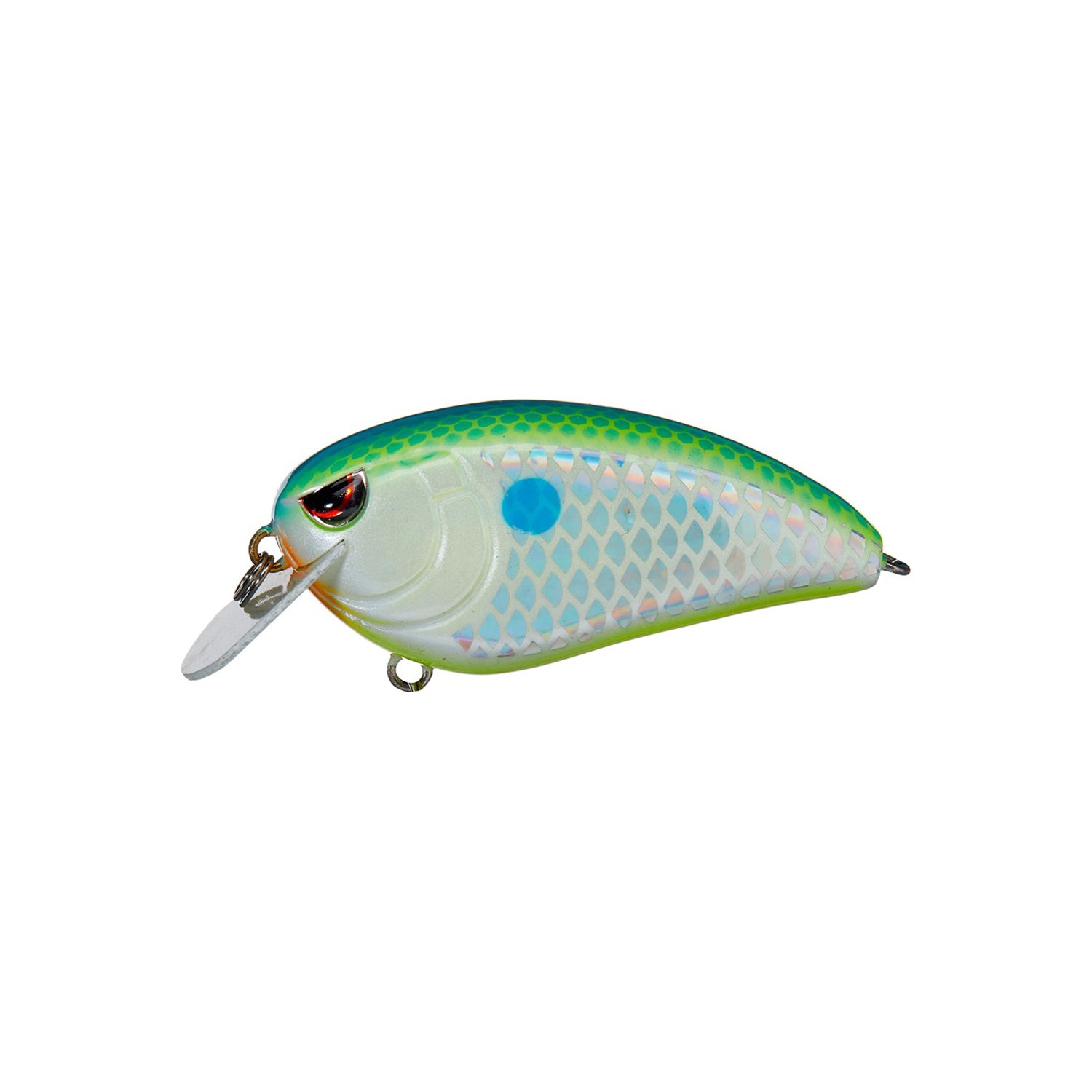 The SPRO Fat John 60 Crankbait is a colorful, shallow-diving lure shaped like a small fish, with a green top, white belly, blue-silver scales, red eyes, and a clear plastic lip for diving.