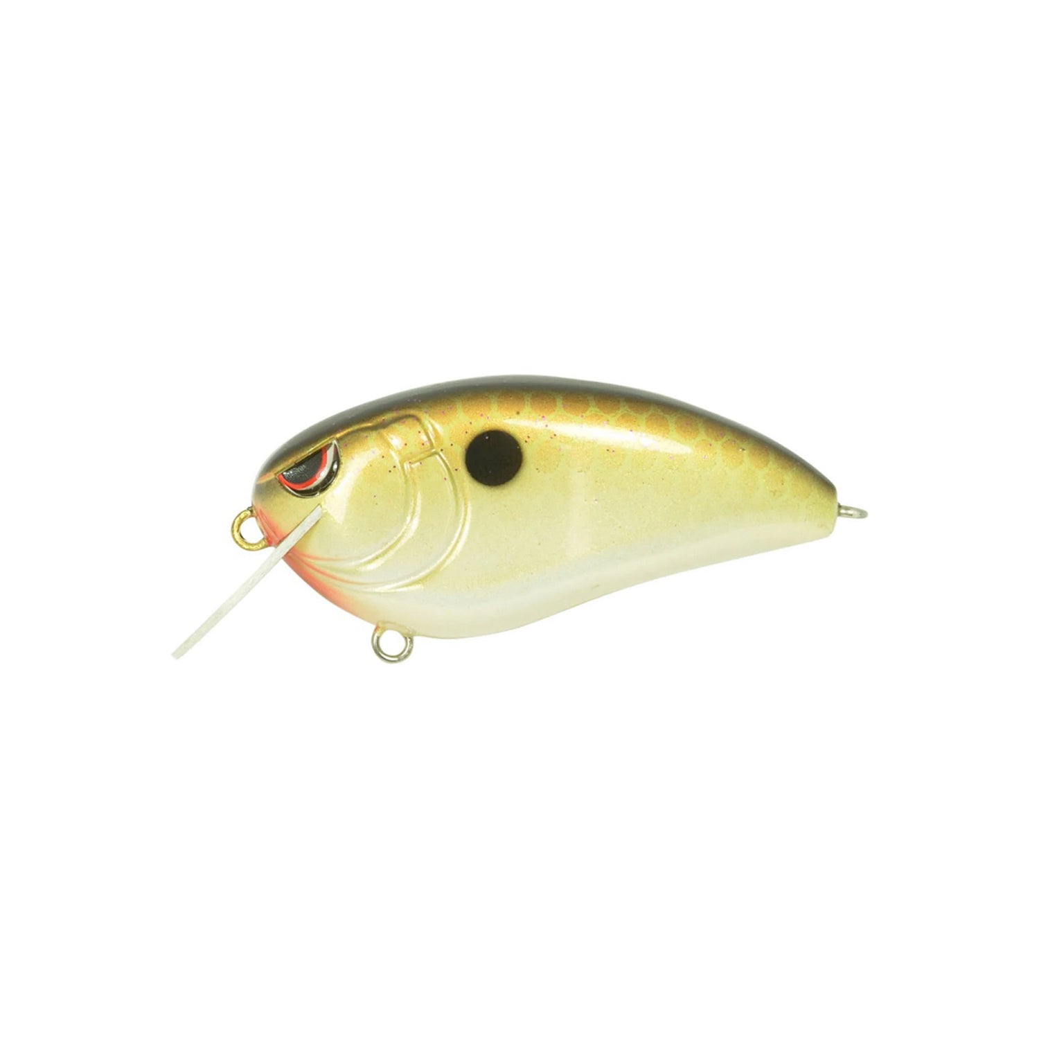 A gold and white SPRO Fat John 60 crankbait, shaped like a fish with a black dot near the eye, Gamakatsu treble hooks, and a clear plastic lip, shown isolated on a white background.