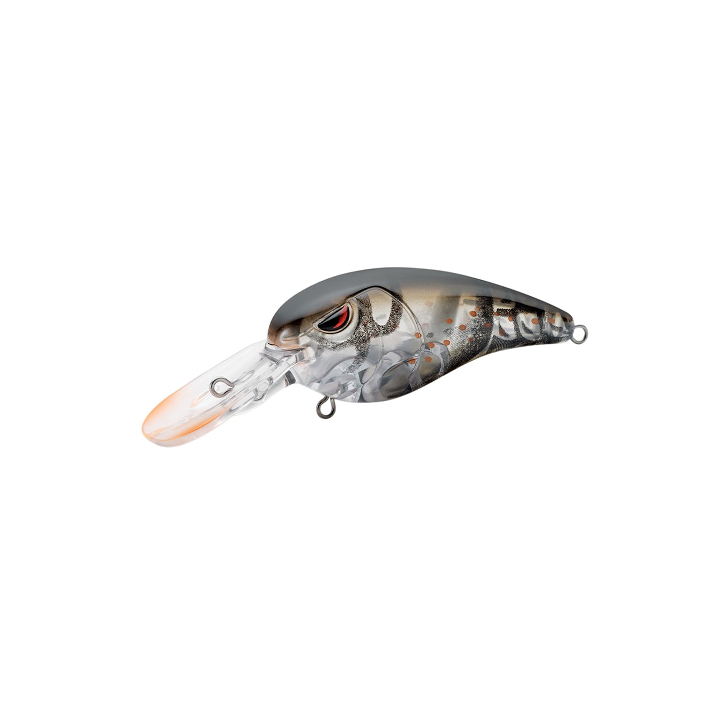The SPRO RkCrawler MD 55 Crankbait features a lifelike fish shape, grey and silver body, red eye, clear orange-tipped bill, detailed scales, and multiple attachment rings—ideal for bass fishing.