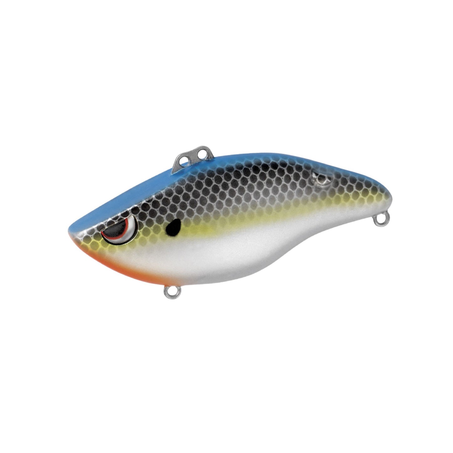 The SPRO Wameku Shad 80 Lipless Crankbait is a colorful, fish-shaped lure with a blue top, black hexagonal scales, yellow stripe, white belly, red eye accent, and metal loops—ideal for bass fishing.