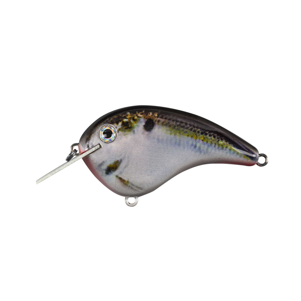 The Strike King Chick Magnet Flatside Crankbait is a realistic, fish-shaped lure with a silver-gray body, large reflective eye, small metal diving lip, and front/bottom attachment loops. Modeled after the original Chick Magnet.