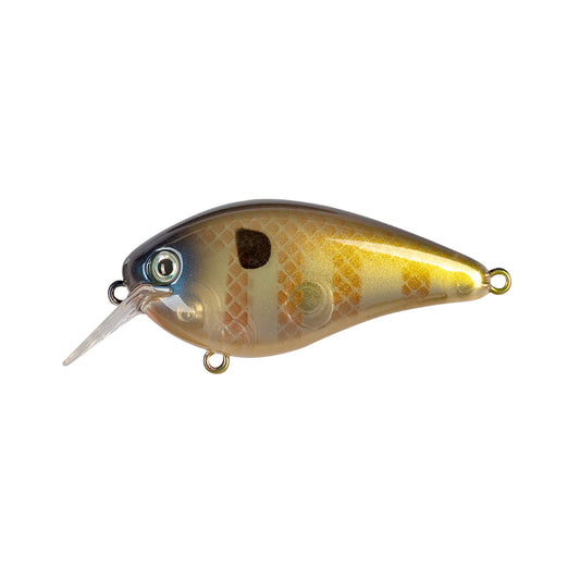The Strike King KVD 1.5 Hard Knock Squarebill Crankbait features a metallic gold and brown scaled body, large eye, and a clear plastic lip for diving action.