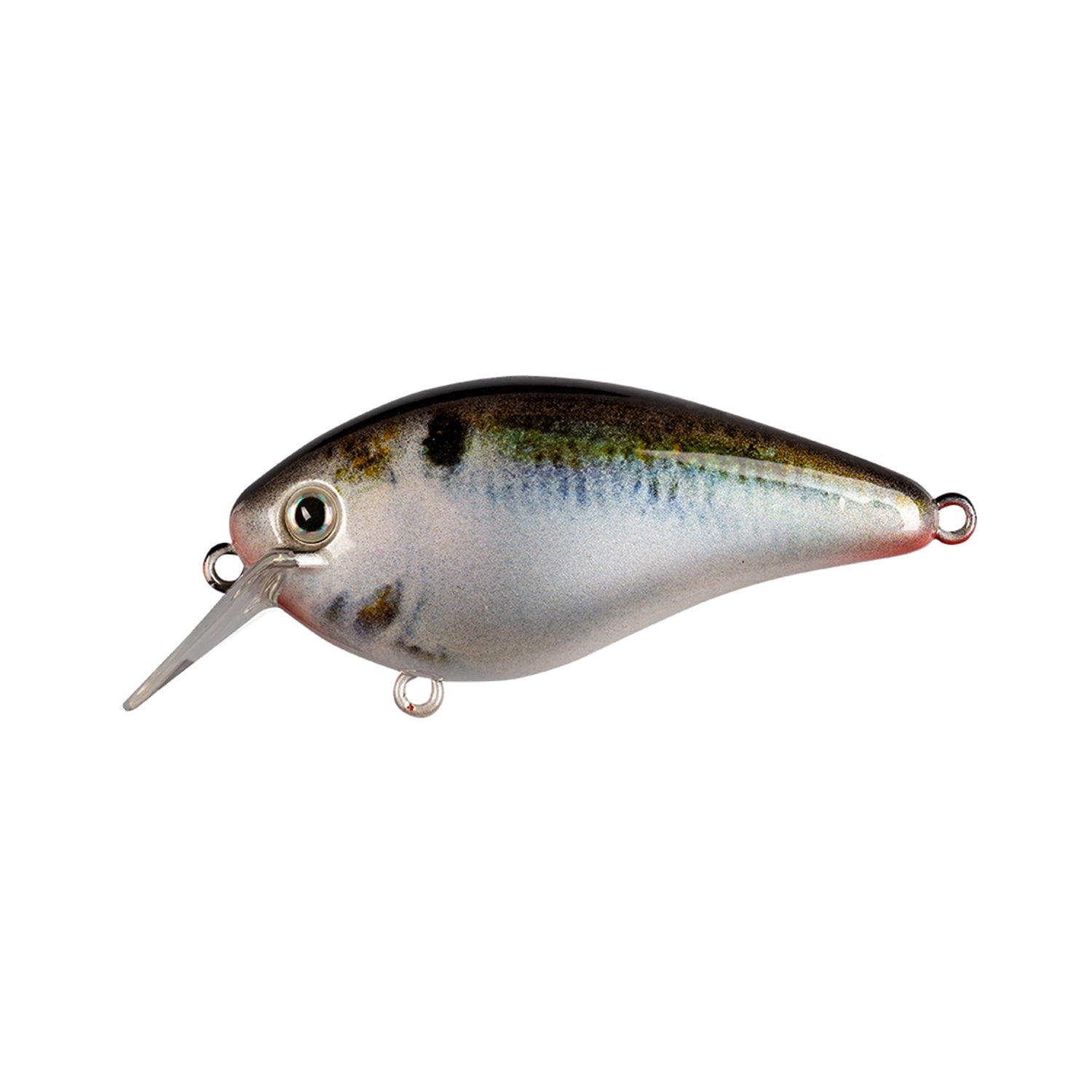 The Strike King KVD 1.5 Hard Knock Squarebill Crankbait by Strike King features a metallic fish-shaped body, lifelike eye, green and brown hues, a clear diving lip, and metal loops on top, bottom, and rear for easy hook or line attachment.