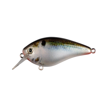 The Strike King KVD 1.5 Hard Knock Squarebill Crankbait by Strike King features a metallic fish-shaped body, lifelike eye, green and brown hues, a clear diving lip, and metal loops on top, bottom, and rear for easy hook or line attachment.
