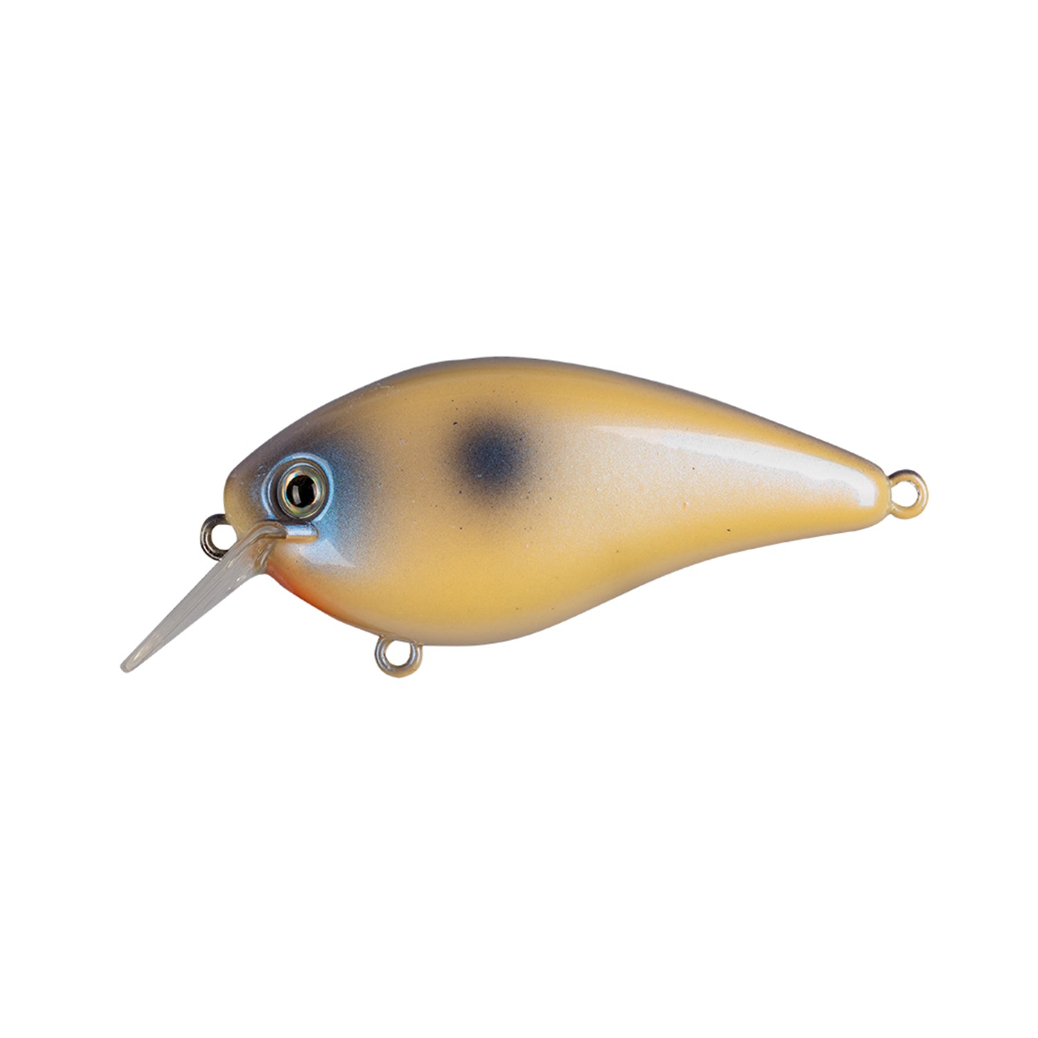 The Strike King KVD 1.5 Hard Knock Squarebill Crankbait by Strike King is a yellow and blue, fish-shaped lure with a large eye, dark side spot, and transparent diving lip.