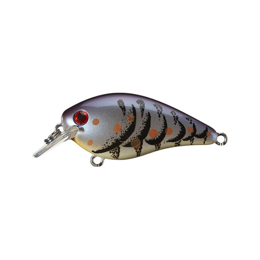 The Strike King KVD 1.5 Silent Squarebill Crankbait by Strike King features a silver body with black stripes, orange and black spots, red eye, and clear plastic lip—perfect for shallow water bass fishing.