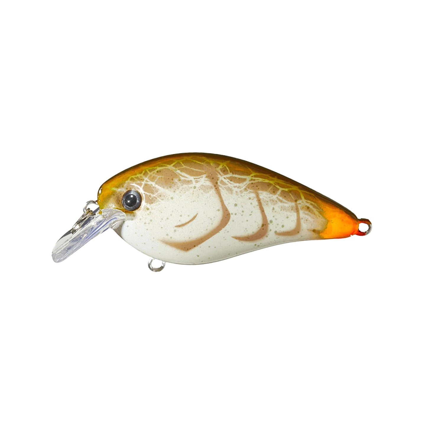 The Strike King KVD 1.5 Silent Squarebill Crankbait by Strike King is a shallow water lure shaped like a small fish, featuring a translucent bill, white body with brown and gold patterns, and an orange-tinted tail end. Displayed on white background.