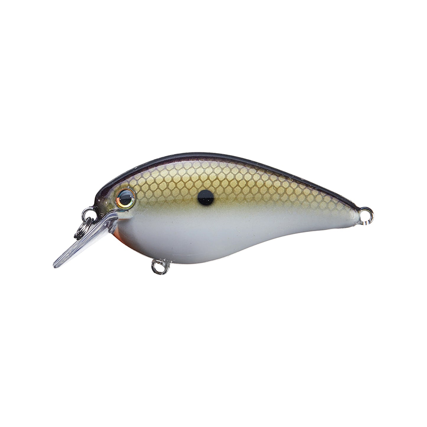 The Strike King KVD 1.5 Silent Squarebill Crankbait is a small fish-shaped lure with a metallic yellow and brown back, white belly, black eye spot, and clear lip—perfect for shallow water bass fishing.