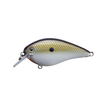 The Strike King KVD 1.5 Silent Squarebill Crankbait is a small fish-shaped lure with a metallic yellow and brown back, white belly, black eye spot, and clear lip—perfect for shallow water bass fishing.