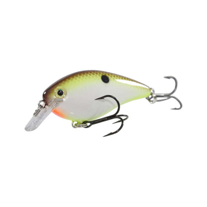 The Strike King KVD 1.5 Silent Squarebill Crankbait is a shallow water lure with two treble hooks, a clear plastic lip, and a white belly, yellow-green sides, brown back, and black spot.