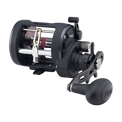 The Penn Warfare Level Wind Reel Left Hand (WAR20LWLH) by Penn is shown in black with a large handle and visible spool, designed as a versatile reel for saltwater fishing, displayed on a white background.